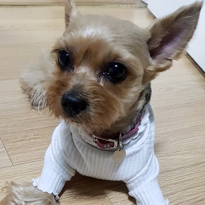 Gomi looking up while wearing a white sweater