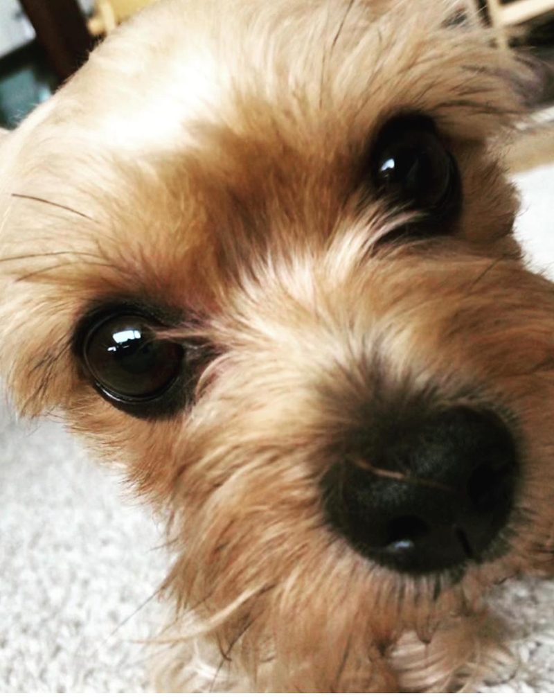 Close-up of Gomi's eyes